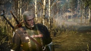 ПЕЙЗАЖНОЕ, с Геральтом. Ведьмак III (сборка Торна)